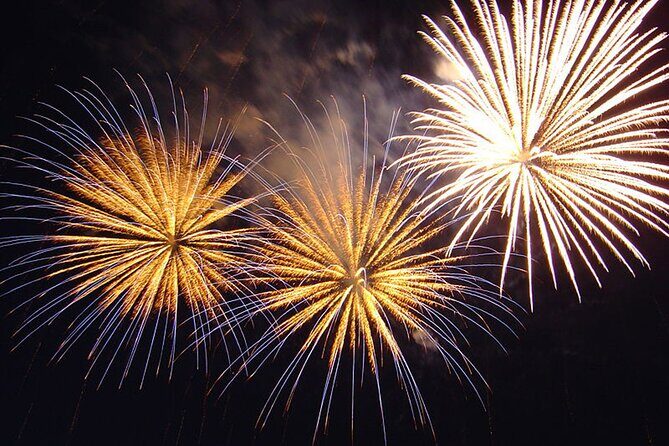 Friday Fireworks Dinner Sail from the Hilton Hawaiian Village - Who Should Consider This Tour?