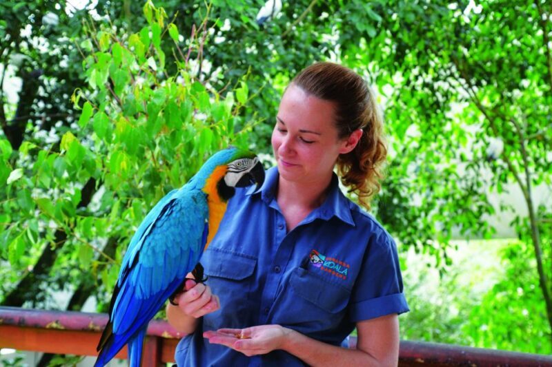 Friends in the Rainforest Package: Koala Gardens & Birdworld - Discovering Australia’s Wildlife with the Friends in the Rainforest Package