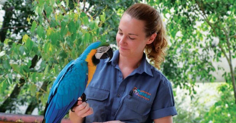 Friends in the Rainforest Package: Koala Gardens & Birdworld - Key Points