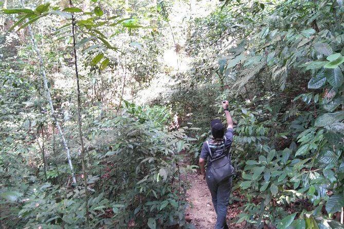 FRIM Nature Trekking Tour with Batu Caves, Batik & Pewter Factory - FAQ