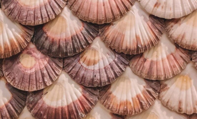From A Coruña to Rías Baixas: Unforgettable Coastal Wonders - FAQ