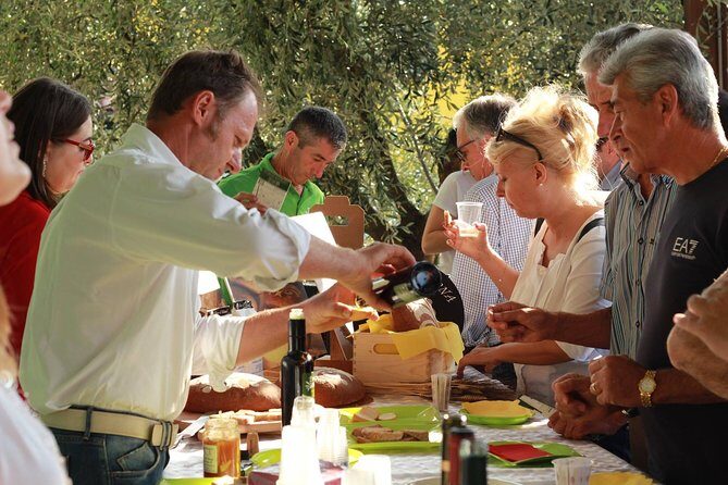 From Abano Montegrotto Olive Oil & Wine in the Euganean Hills - Discovering the Flavors of the Euganean Hills: Olive Oil & Wine Tour from Abano Montegrotto
