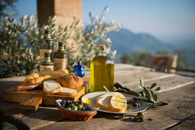 From Abano Montegrotto Olive Oil & Wine in the Euganean Hills - A Closer Look at the Tour Experience