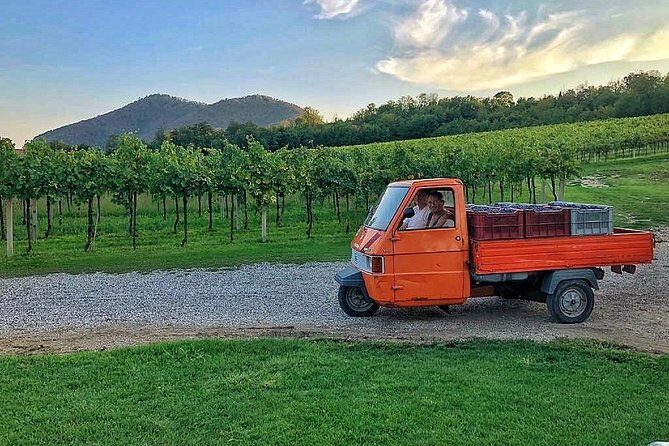 From Abano Montegrotto Olive Oil & Wine in the Euganean Hills - FAQ