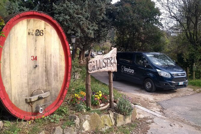 From Abano Montegrotto, Wine Tour in the Euganean Hills - Exploring the Euganean Hills: A Landscape of Volcanic Beauty