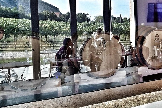 From Abano Montegrotto, Wine Tour in the Euganean Hills - Practical Details: What You Need to Know