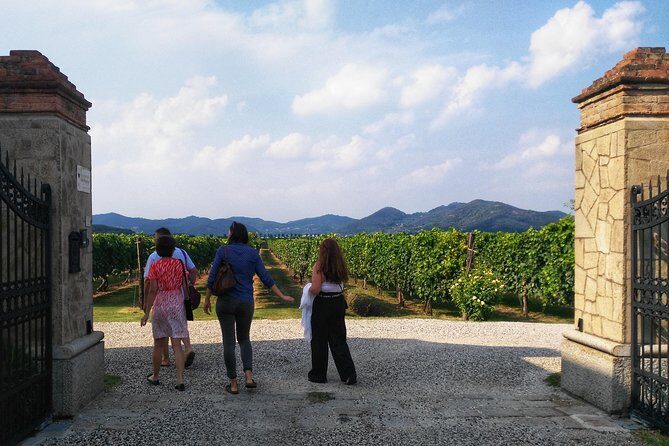 From Abano Montegrotto, Wine Tour in the Euganean Hills - Who Will Enjoy This Tour?