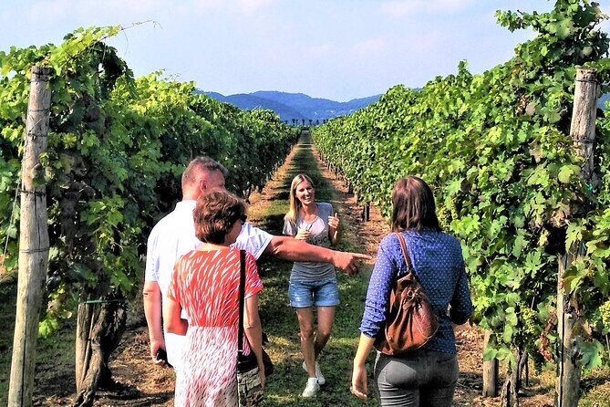 From Abano Montegrotto, Wine Tour in the Euganean Hills - FAQ