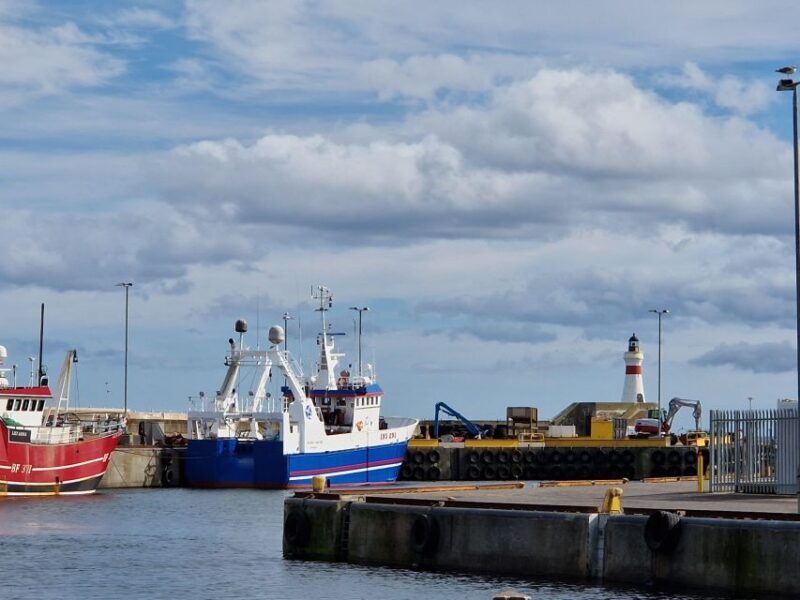 From Aberdeen: Coastal Villages of Aberdeenshire Tour - Final Thoughts