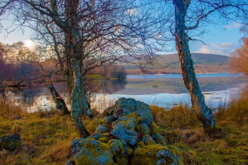 From Aberdeen: Dunnottar Castle and Cairngorms Day Trip - Cairngorms National Park: Wilderness and Wildlife