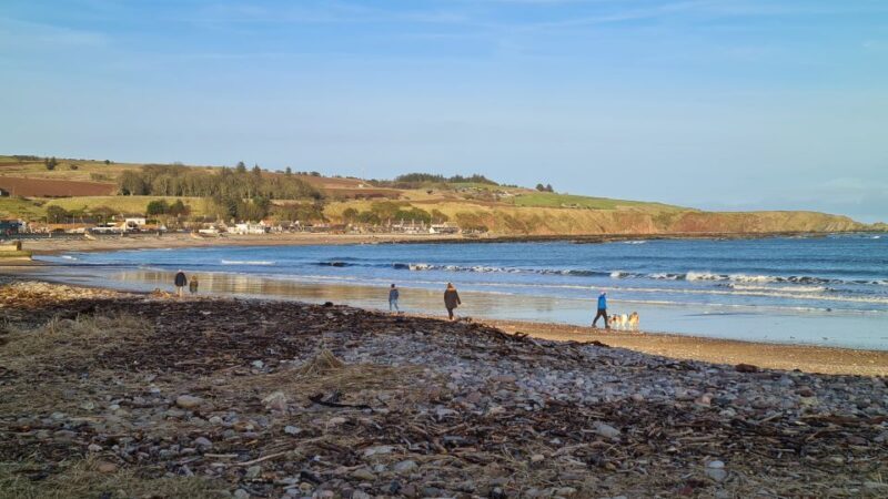 From Aberdeen: Guided Day Trip, Coast & Castle Visit - Who Will Love This Tour?