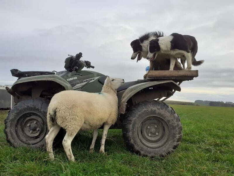From Aberdeen: Luxury Aberdeenshire and Speyside tours. - FAQ