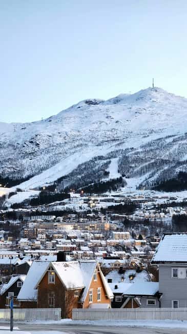 From Abisko: Narvik City and Fjord Day Trip - An In-Depth Look at the Abisko-Narvik Day Trip
