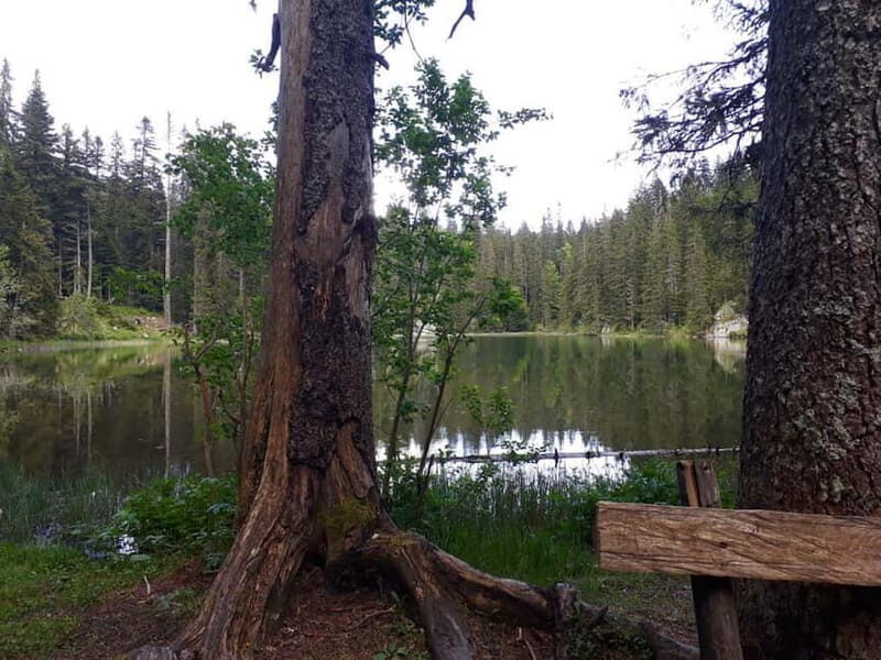 From abljak: Durmitor National Park Private Hiking Tour - Exploring Durmitor National Park: A Practical, In-Depth Review