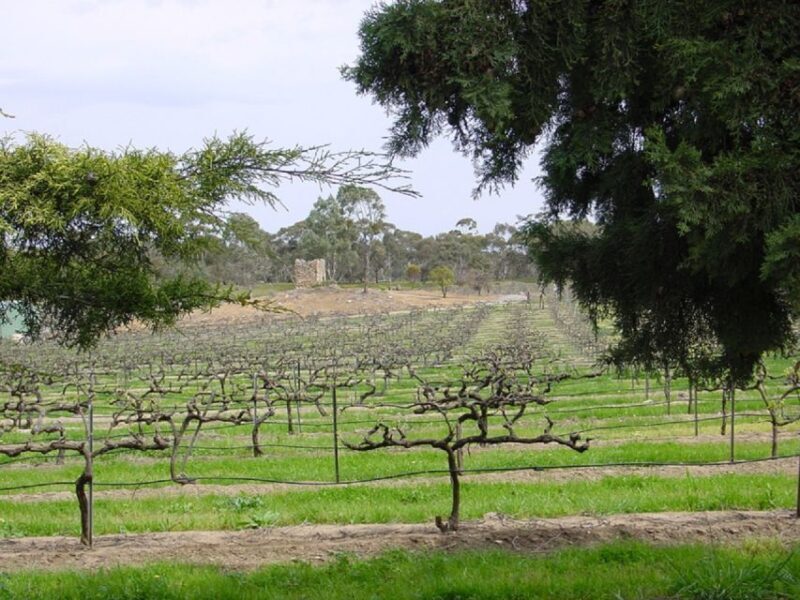 From Adelaide: Clare Valley Winery Tour - A Closer Look at the Clare Valley Winery Tour