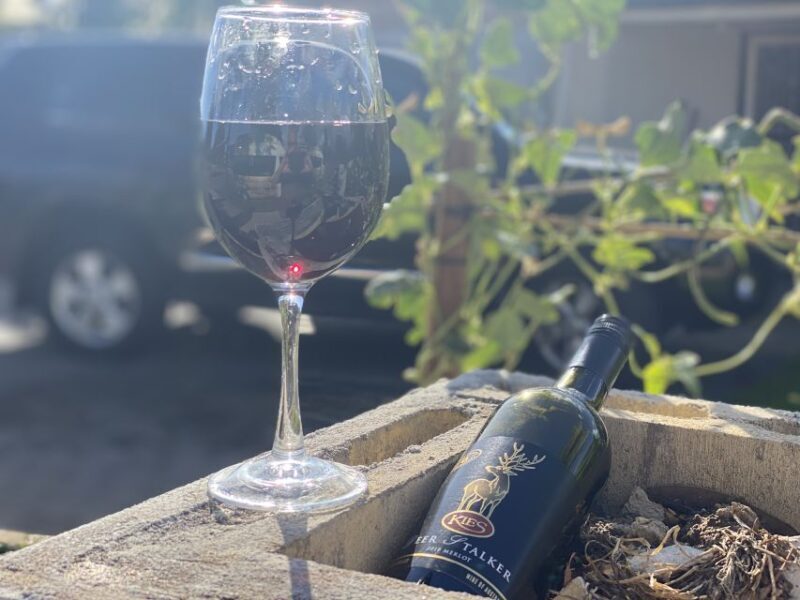 From Adelaide: McLaren Vale Winery Tour with Hahndorf Stop - Final Thoughts