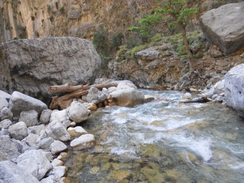 From Agia Galini/Matala: Samaria Gorge Hiking Tour - A Detailed Look at the Samaria Gorge Hiking Tour