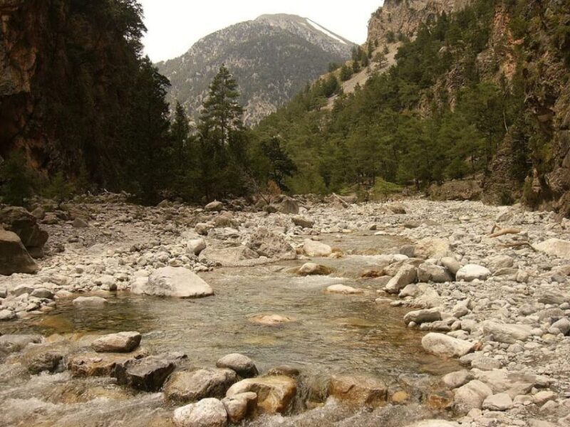 From Agia Galini/Matala: Samaria Gorge Hiking Tour - Who This Tour Is Perfect For