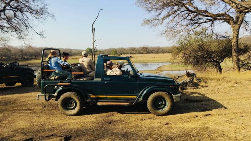 From Agra: 2 Days 1 Night Ranthambore Tiger Safari Tour - Who Will Appreciate This Tour?