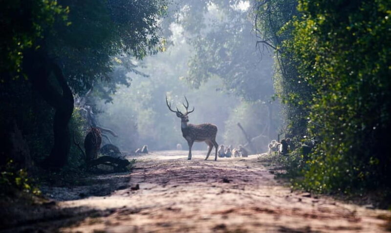 From Agra: Taj Mahal, Fatehpur Sikri & Bird Safari Tour - Exploring the Taj Mahal, Fatehpur Sikri, and Bird Sanctuary in One Day