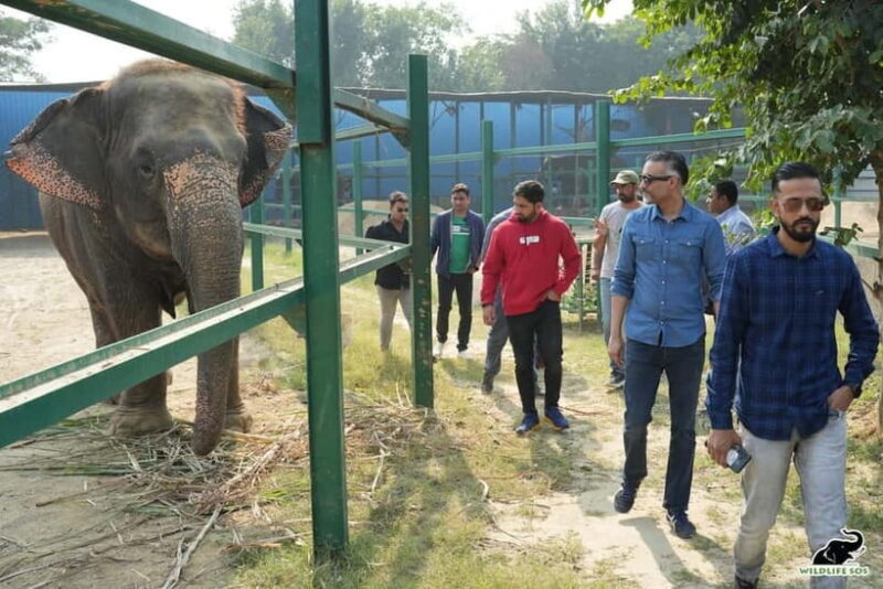 From Agra: Visit to Wildlife SOS Elephant Conservation Trip - Key Points