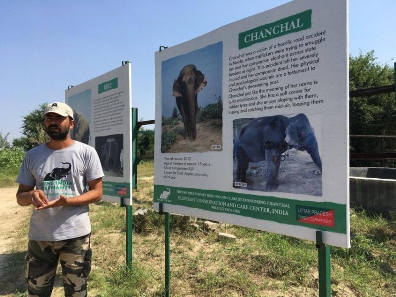 From Agra: Visit to Wildlife SOS Elephant Conservation Trip - Key Points