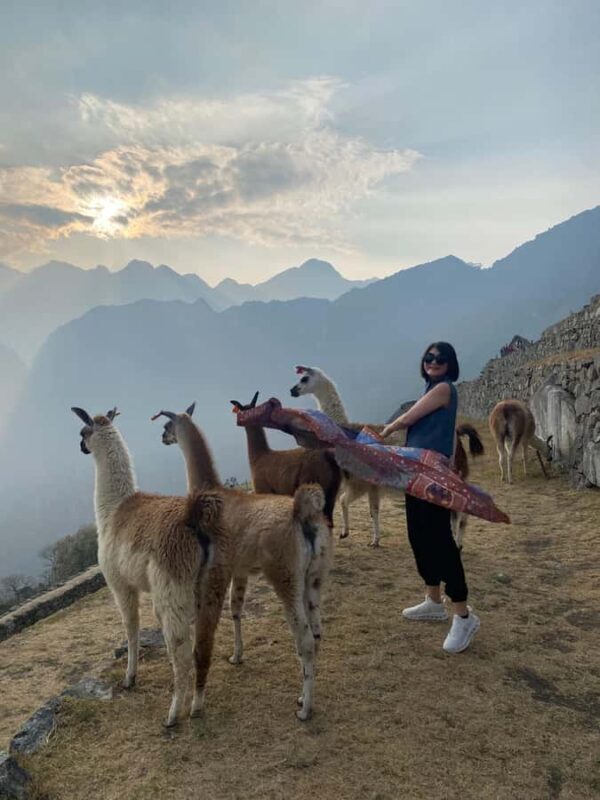 From Aguas Calientes: Machu Picchu guided tour with tickets - Key Points