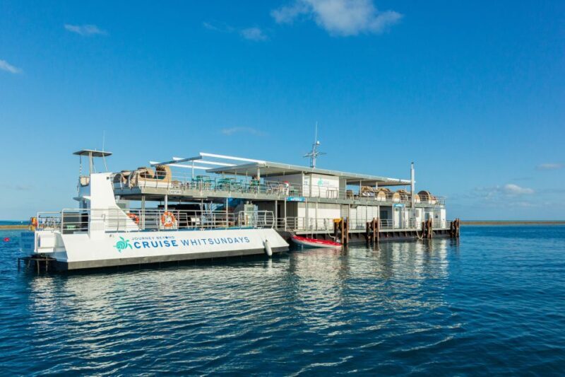 From Airlie Beach: Great Barrier Reef Pontoon Experience - In-Depth Review of the Airlie Beach Great Barrier Reef Pontoon Tour