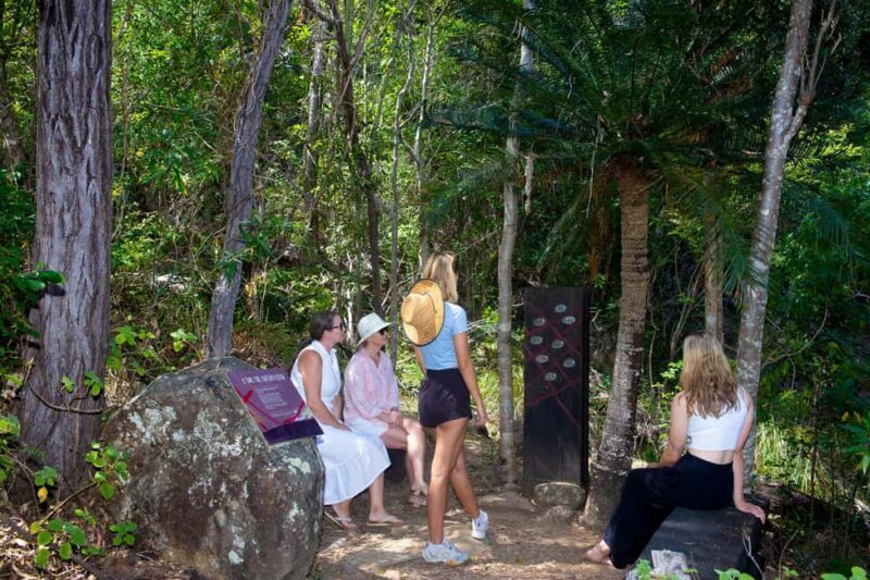 From Airlie Beach: Hook Island Cultural Tour, Sail & Snorkel - Why This Tour Matters: The Value of a Well-Rounded Day