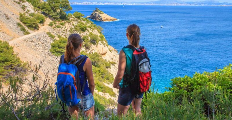From Aix: Cassis Boat Ride & Provence Wine Tasting Day Tour - Authenticity and Value