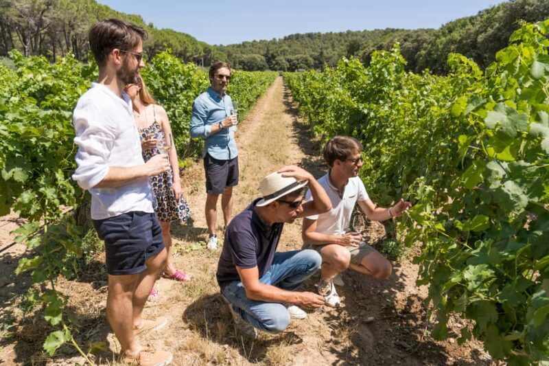 From Aix en Provence: Bandol & Cassis Full-day Wine Tour - From Aix en Provence: Bandol & Cassis Full-day Wine Tour – A Practical Guide