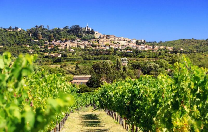 From Aix-en-Provence: Châteauneuf du Pape Wineries Day Trip - Lunch and Free Time in the Village