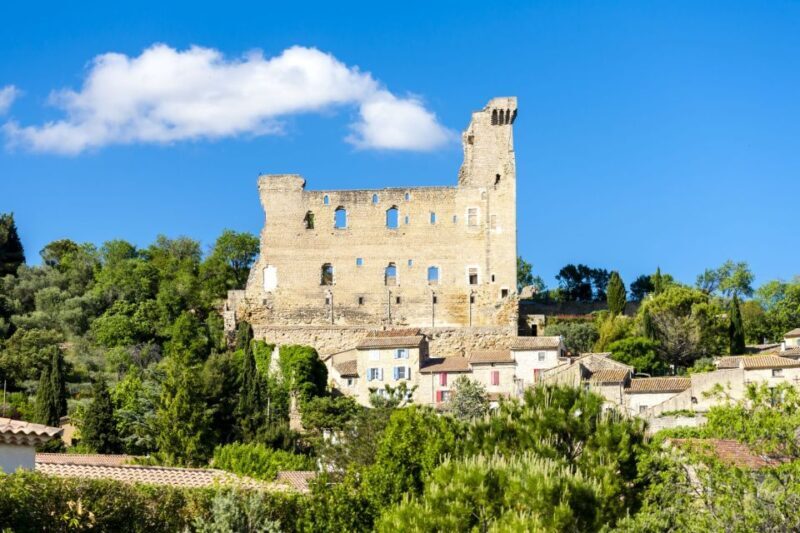 From Aix-en-Provence: Châteauneuf du Pape Wineries Day Trip - Afternoon Winery Visit and Tasting