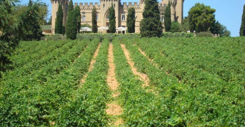 From Aix-en-Provence: Châteauneuf du Pape Wineries Day Trip - Returning to Aix-en-Provence