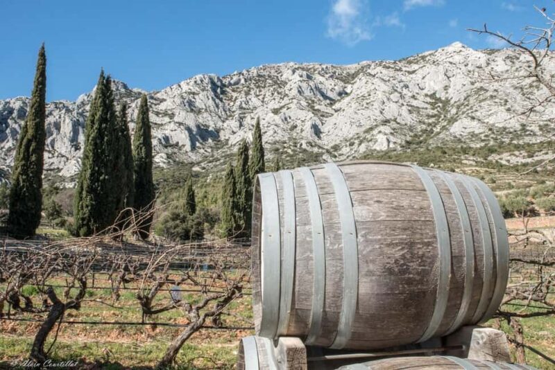 From Aix-en-Provence : Half-day Sidecar Wine Tour - Who Will Love This Tour?