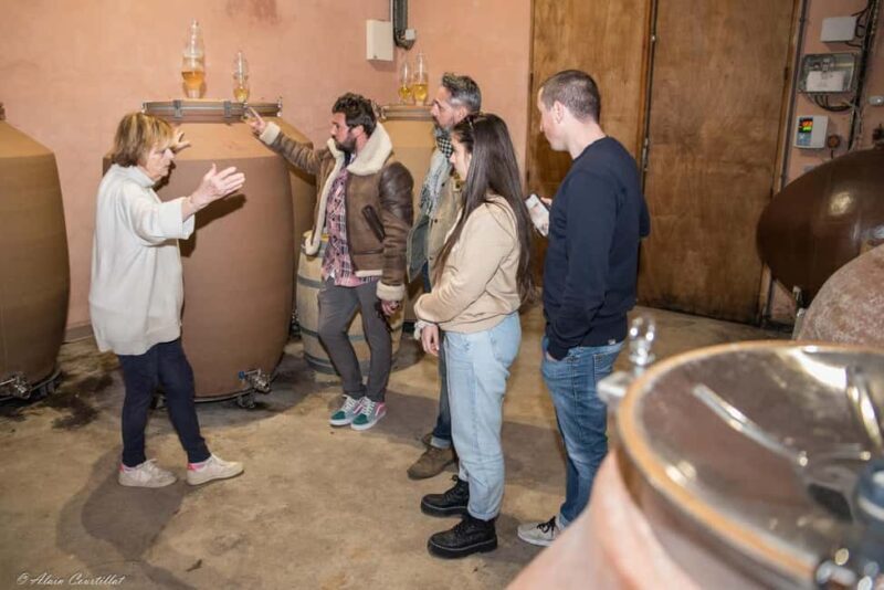 From Aix-en-Provence : Half-day Sidecar Wine Tour - The Sum Up