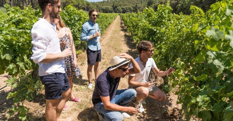 From Aix-en-Provence: Half-day Wine Tour Cezanne Countryside - What We Think of the Experience
