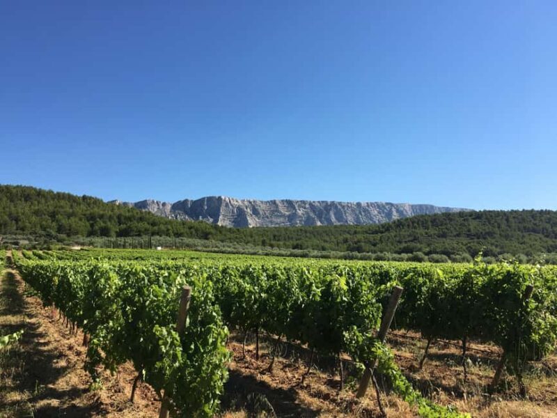 From Aix en Provence: Half-day Wine Tour in Provence - A Closer Look at the Provençal Wine Experience