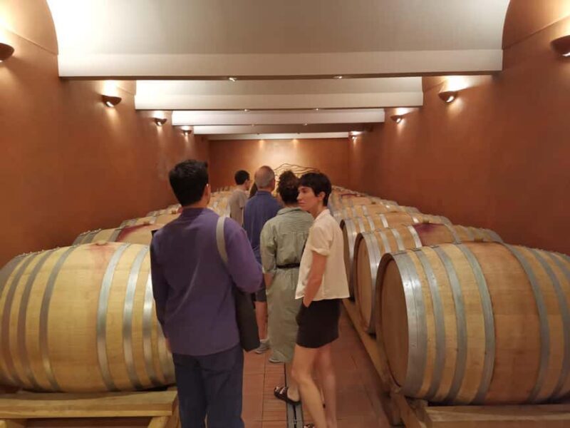 From Aix en Provence: Half-day Wine Tour in Provence - Why This Tour Is Worth It