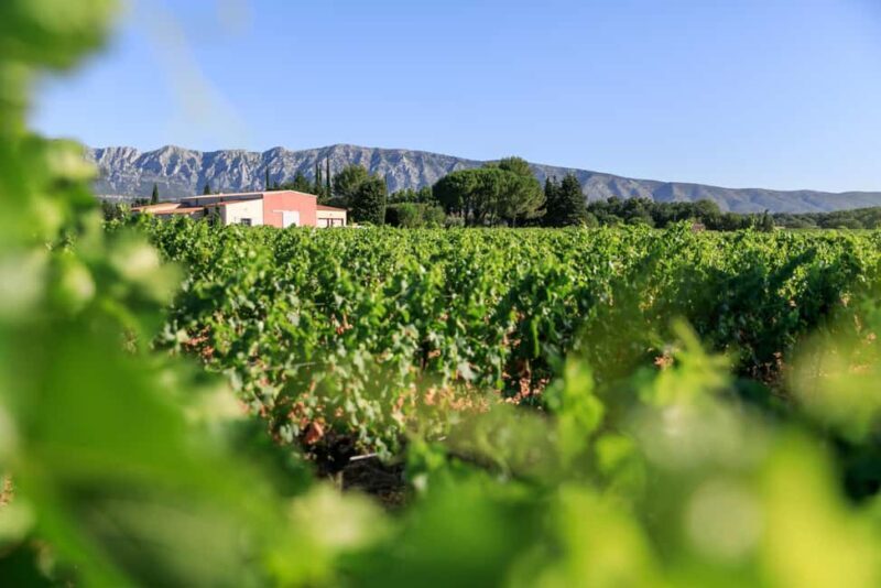 From Aix en Provence: Half-day Wine Tour in Provence - Who Will Love This Tour?