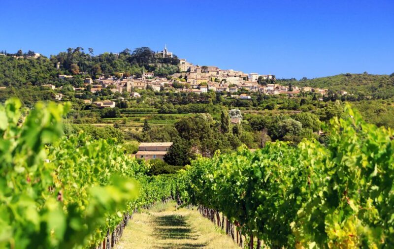 From Aix-en-Provence: Half-Day Wine Tour - Why This Tour Is Worth Considering