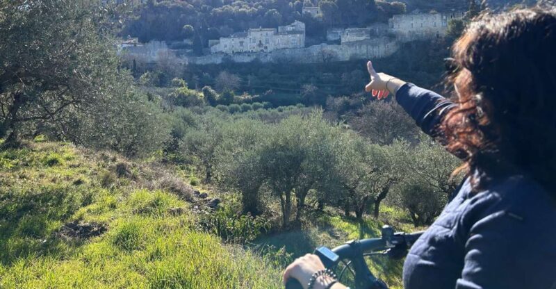 From Aix-en-Provence: Luberon Region E-Bike Full-Day tour - Authenticity and Value