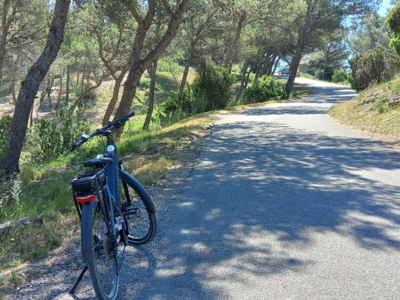 From Aix-en-Provence: Luberon Region E-Bike Full-Day tour - FAQs