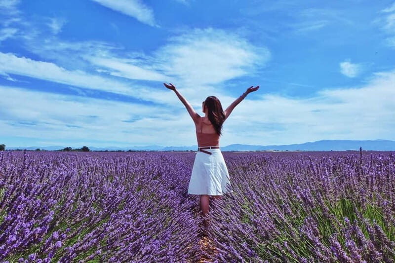 From Aix-en-Provence : Sunset Lavender Tour in Valensole - From Aix-en-Provence: Sunset Lavender Tour in Valensole