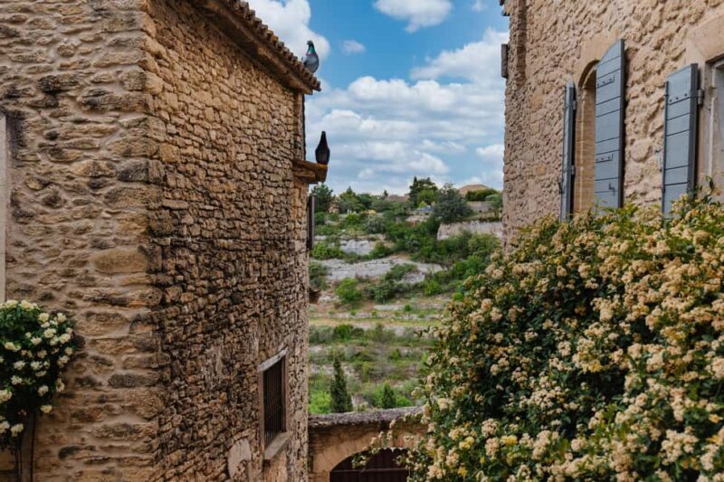 From Aix-en-Provence: Wine & Luberon Villages Full-day Tour - Final Thoughts