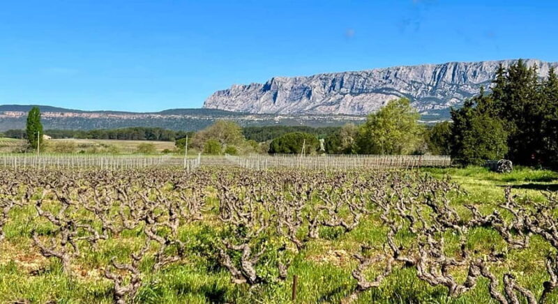 From Aix-en-Provence: Wine Tasting at Sainte-Victoire - Key Points