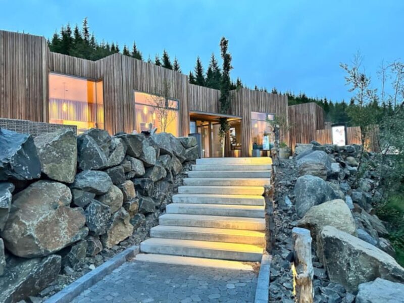 From Akureyri: Goðafoss Waterfall and Forest Lagoon Tour - A Deep Dive into the Experience