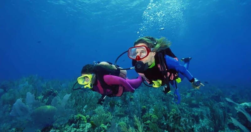 From Alanya: Scuba Diving Tour with Hotel Transfers - The Sum Up