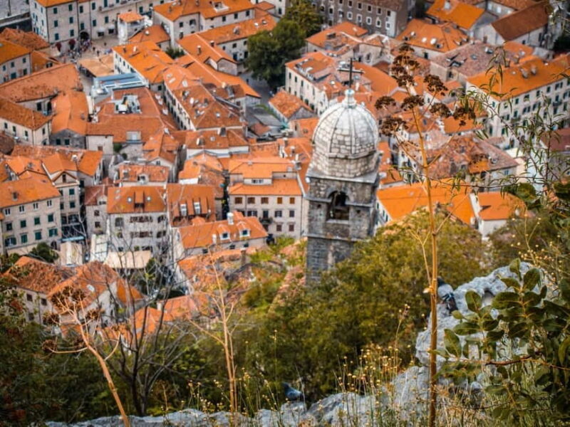 From Albania: Day Tour of Montenegro Budva & Sveti Stefan - The Sum Up