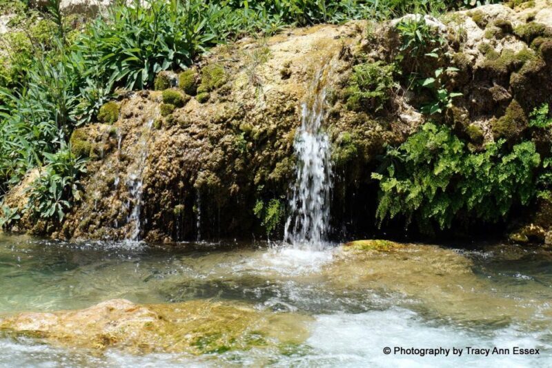 From Albir, Altea, Benidorm & Calpe: Guadalest & Algar Tour - An In-Depth Look at the Guadalest & Algar Waterfalls Tour